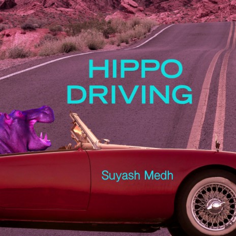 Hippo Driving | Boomplay Music