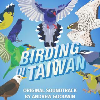 Birding In Taiwan (Original Soundtrack)