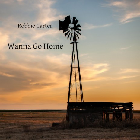 Wanna Go Home | Boomplay Music