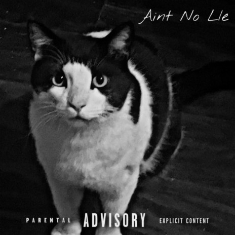 Ain't No Lie | Boomplay Music