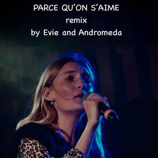 Parce qu'on s'aime (Remix)