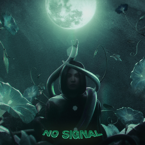 NO SIGNAL | Boomplay Music