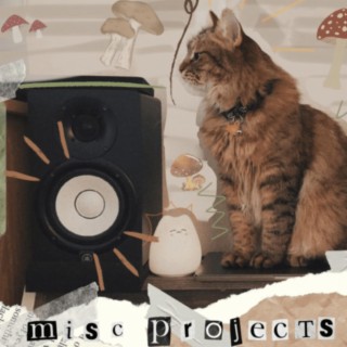 Misc. Projects