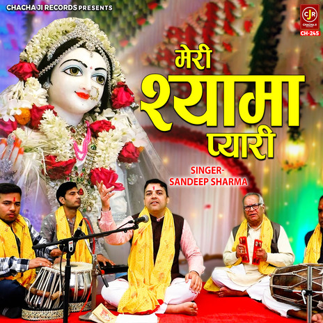 Meri Shyama Pyari | Boomplay Music