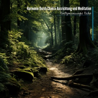 Harmonie Durch Chakra-Ausrichtung und Meditation