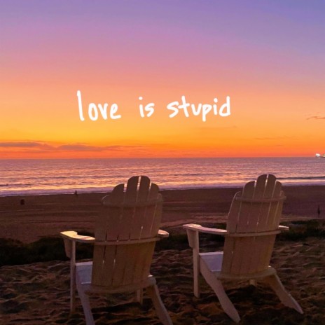 love is stupid | Boomplay Music
