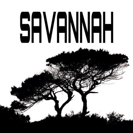 Savannah | Boomplay Music