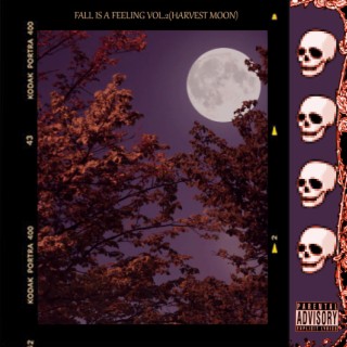 FALL IS A FEELING VOL.2(HARVEST MOON)