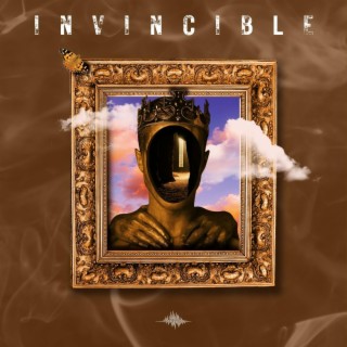 Invincible Freestyle