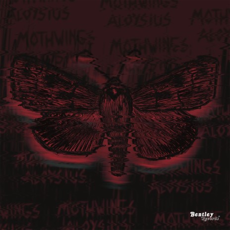 Moth Wings | Boomplay Music