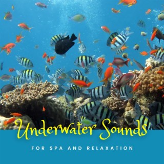 Underwater Sounds for Spa and Relaxation