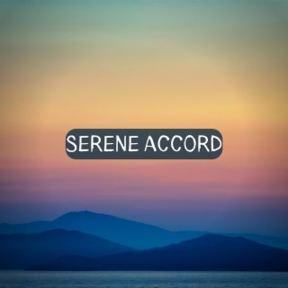 Serene Accord