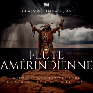 Flûte amérindienne: Mélodies méditatives pour l'harmonie du corps & de l'âme