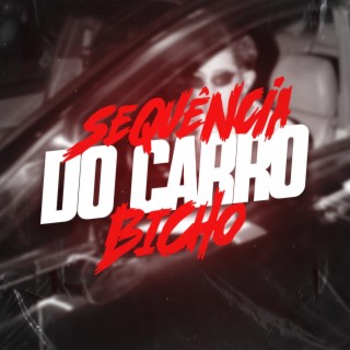 Sequência do Carro Bicho