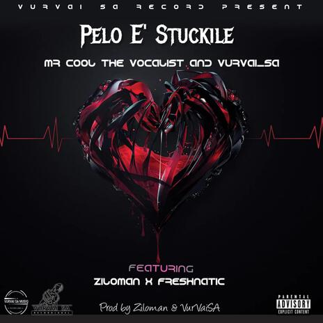 Pelo E' Stuckile ft. VurVai_SA, Ziloman & Freshnatic | Boomplay Music