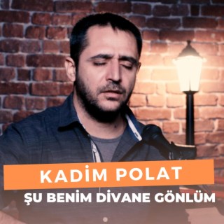 Şu Benim Divane Gönlüm (Kadim Polat)