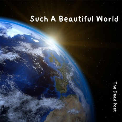 Such A Beautiful World | Boomplay Music