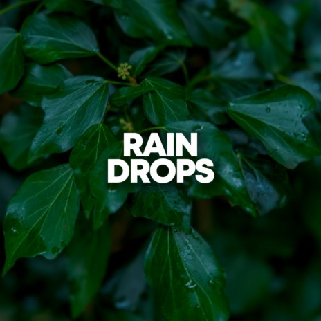 Water Drops | Boomplay Music
