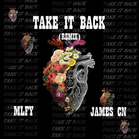 Take it Back (Remix) ft. James CN | Boomplay Music