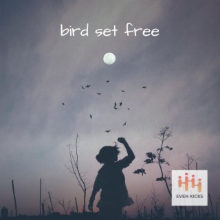 Bird Set Free