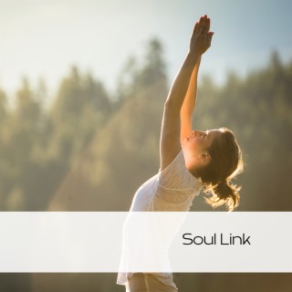 Soul Link