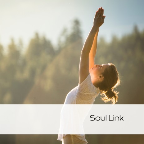 Soul Link (Night) ft. Yoga Music Followers & Dr. Meditation | Boomplay Music