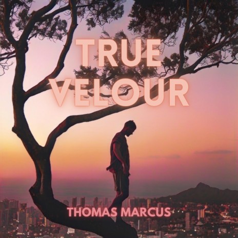 True Velour | Boomplay Music