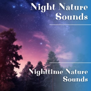 Nighttime Nature Sounds