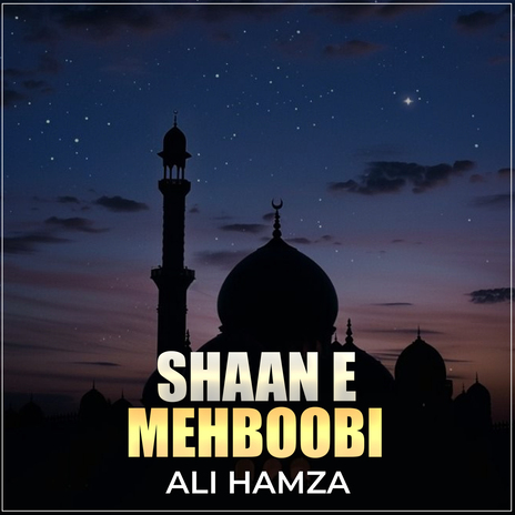 Shaan e Mehboobi | Boomplay Music