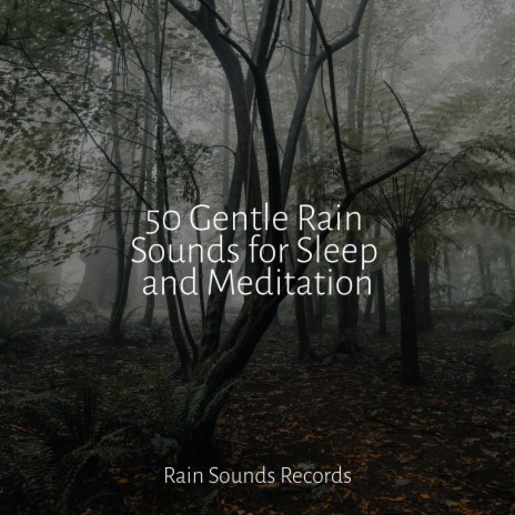 Forest Birds, Rainfall ft. Thunderstorm Sound Bank & Relax Meditate Sleep | Boomplay Music