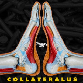 Collateralus