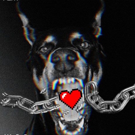 Amor de perros | Boomplay Music