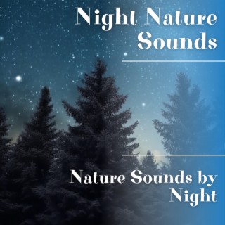 Nature Sounds by Night