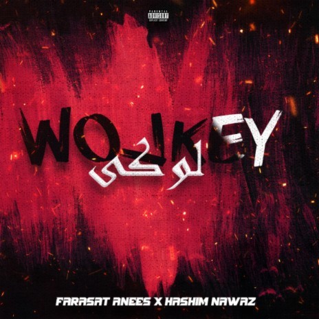 LOWKEY ft. Hashim Nawaz | Boomplay Music
