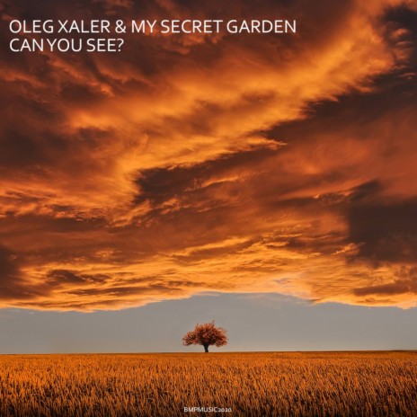 Can You See? (Original Mix) ft. My Secret Garden | Boomplay Music