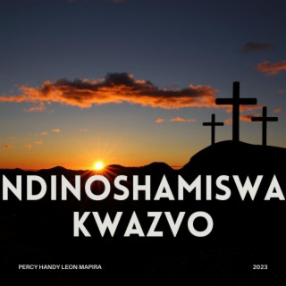 Ndinoshamiswa kwazvo