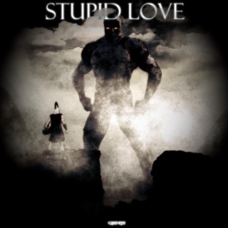 Stupid Love