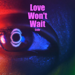 Love Won't Wait