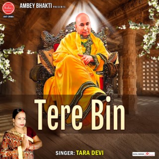 Tere Bin