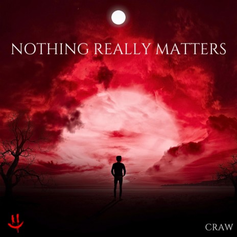 NOTHING REALLY MATTERS | Boomplay Music