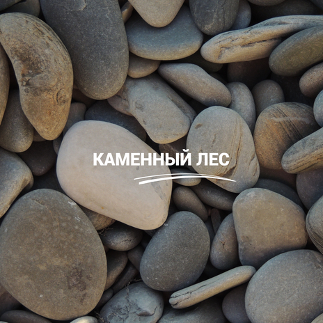 Каменный лес | Boomplay Music