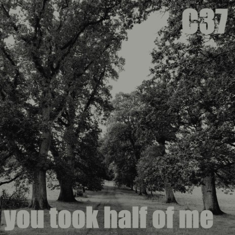 You Took Half of Me | Boomplay Music