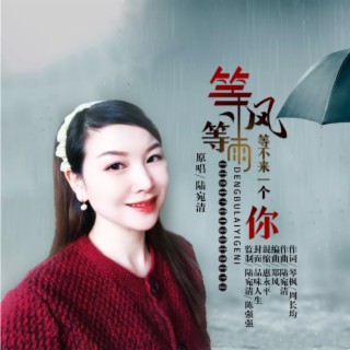 等风等雨等不来一个你 lyrics | Boomplay Music