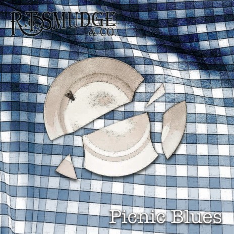 Picnic Blues | Boomplay Music