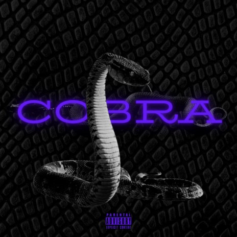 Cobra (Freestyle)