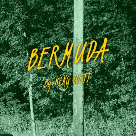 BERMUDA | Boomplay Music