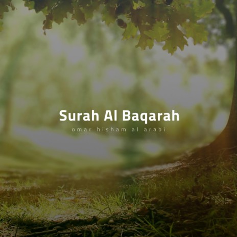 Surah Al Baqarah (Ayah 243 to 286) | Boomplay Music