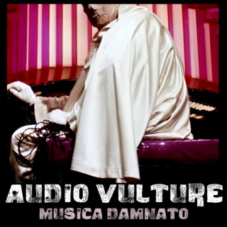 Audio Vulture