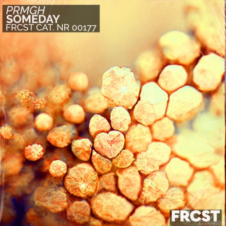 Someday (Extended) | Boomplay Music