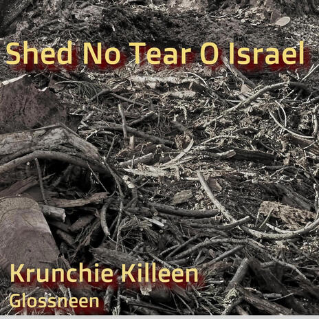 Shed No Tear O Israel | Boomplay Music